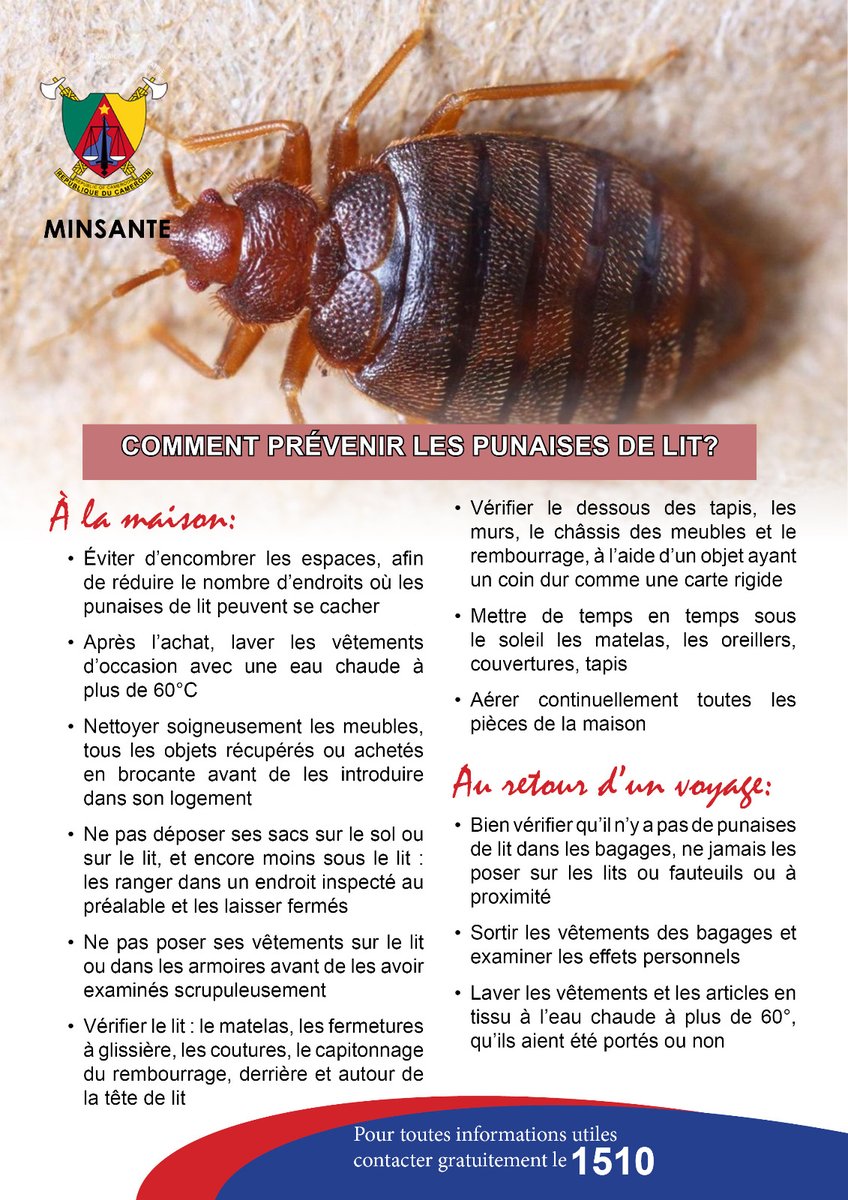 AnneNjom's tweet image. Salubrité !