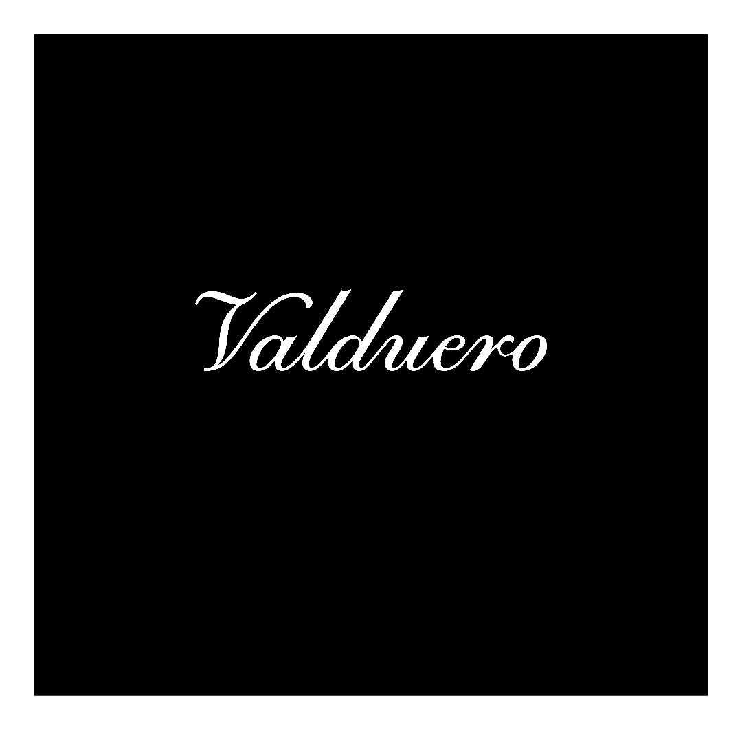 Nueva añada Valduero 12 años 2004
99 puntos Wine Enthusiast