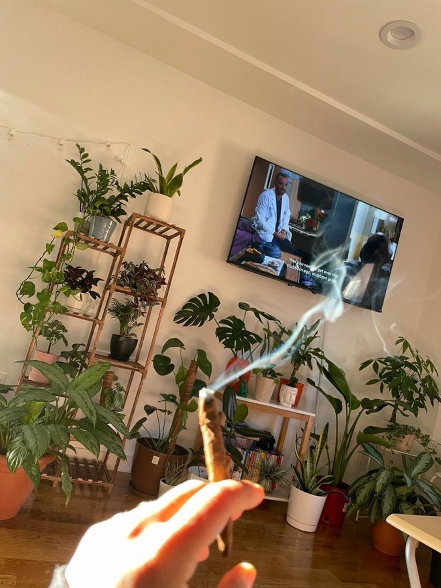 stonersvilla's tweet photo. Wake up. Smoke weed. Stay hydrated. Mind your fucking business https://t.co/8ijdfiez6O