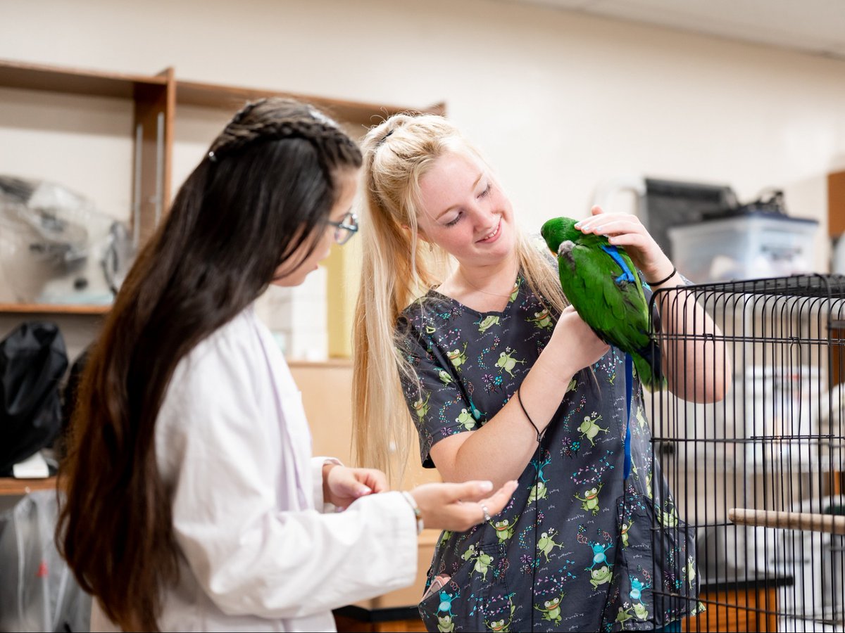 NOVAcommcollege's tweet photo. Today is International Day of #VeterinaryMedicine. We celebrate our dedicated #NOVA Loudoun #VetTech students who are always ready to help animals in need!

🔗 Learn more about #VeterinaryTechnology at NOVA: https://t.co/JIeg1ywSzw https://t.co/1c2N8VQwhr