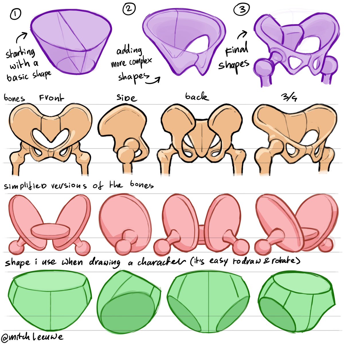 Simplify the anatomy. Using simple shapes 