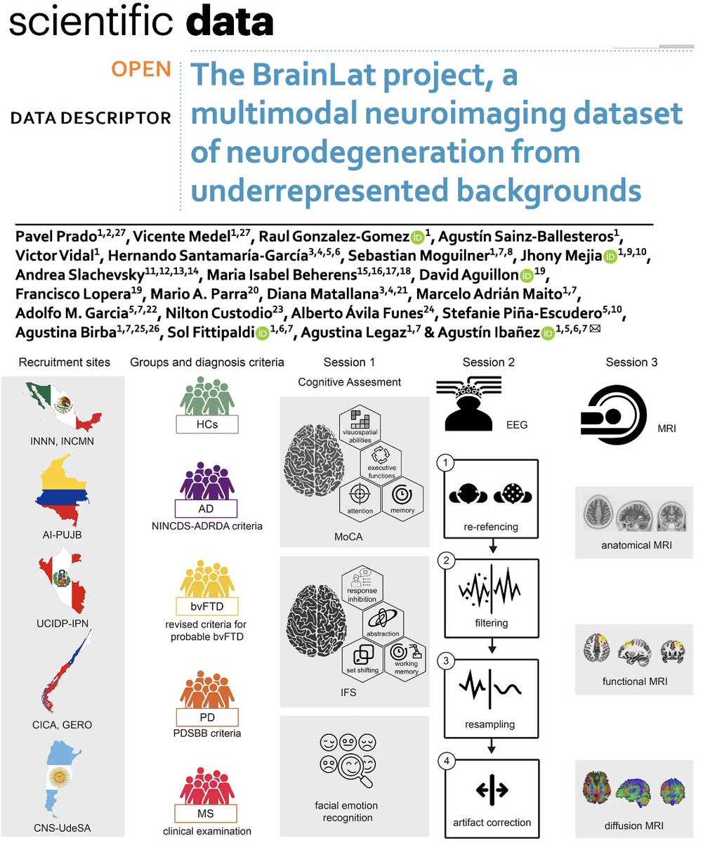 Underrepresented people bring diversity in brain health. Our @BrainlatUAI data in @ScientificData offers 780 controls & neurodegeneration (AD,FTD,MS,PD) with EEG, f/MRI, clinical, demo. + cogniti. open data from #LATAM. Congrats @PavelPradoG & @medelero👉doi.org/10.1038/s41597…