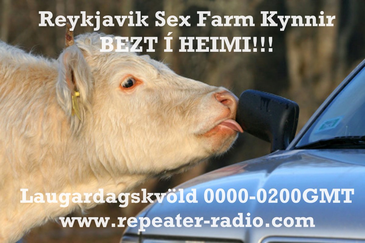 MIDNIGHT GMT! BEATS! BASS! PATTER! Reykjavik Sex Farm live from a kitchen table somewhere in Iceland... repeater-radio.com