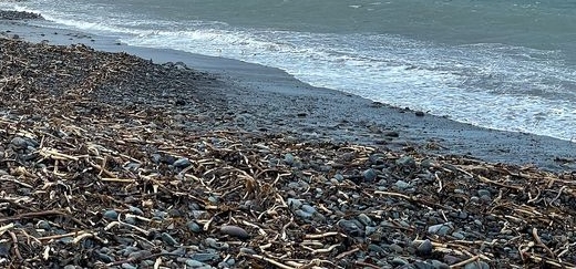 jonnyald's tweet photo. down at Felixstowe beach #flotsam #jetsom #walkers #oldpier #structure #concrete #legs #lifesgreat #suffolk #coast https://t.co/k2C2kbJIi9