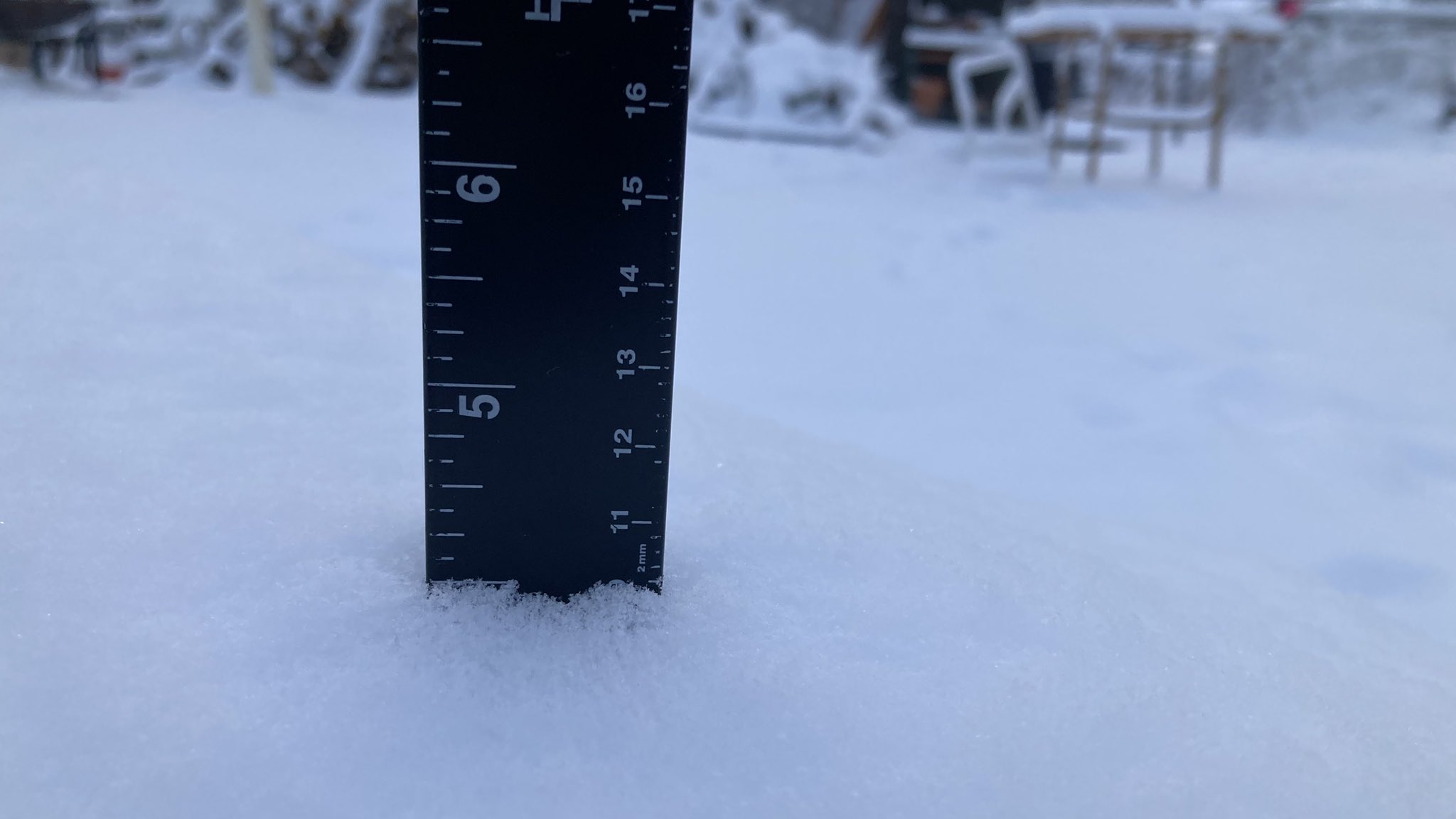 4.1 inches 2024 on a ruler