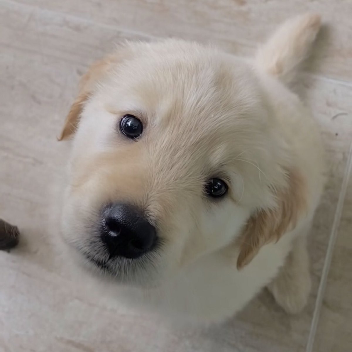 จาเอาอาราย
เบบี๋ 🥺