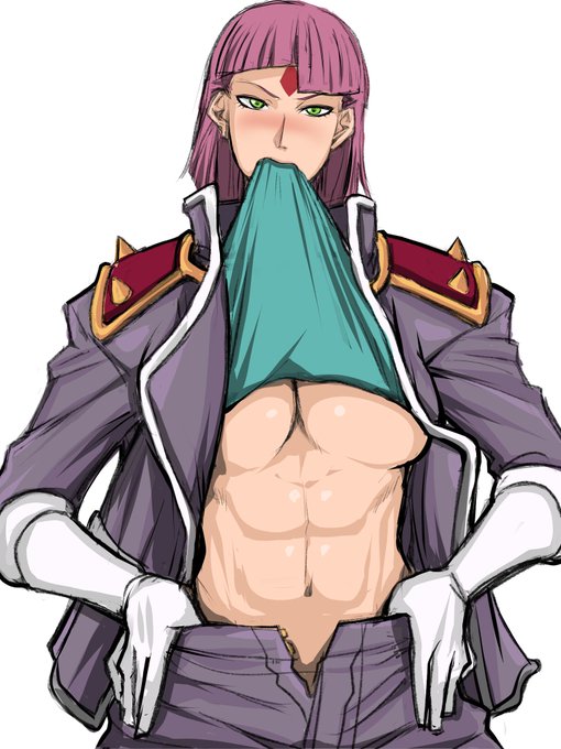 元帥閣下の入浴の世話から車の運転、戦場では自らアイアンコングも操るハーディン准将。
お胸も立派、ゾイドコア? 