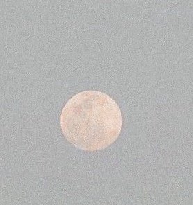 clauhstr's tweet photo. De día o de noche, la luna siempre se ve hermosa. https://t.co/kaptiwsR50