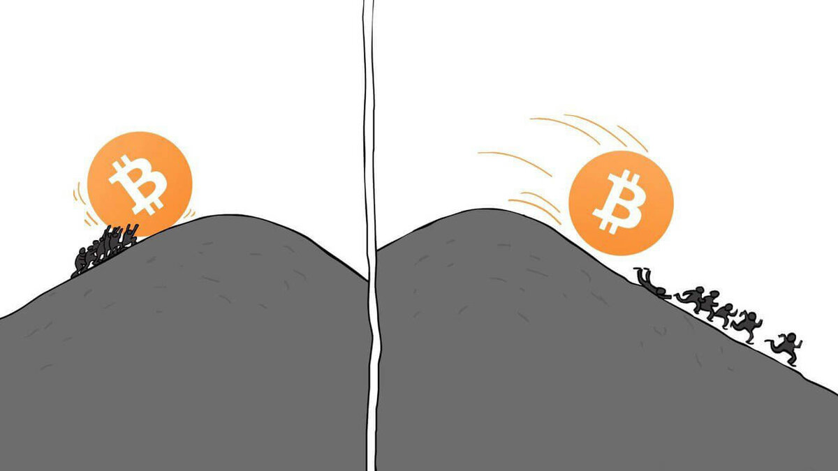 FREELTCINFO's tweet image. We have to tell you the sad news.Unfortunately, we are obliged to lower the profitability in mining according to the 15-day plan by 4% to 2%.This should be consistent with all other plans.