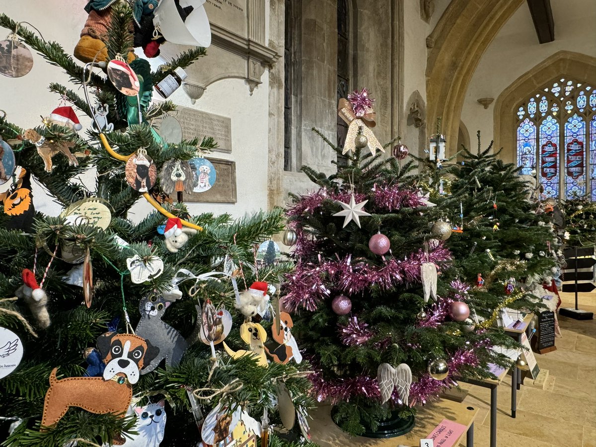 St Edward’s Christmas Tree Festival is now on and also open Sunday.
#stowonthewold #ChristmasTrees