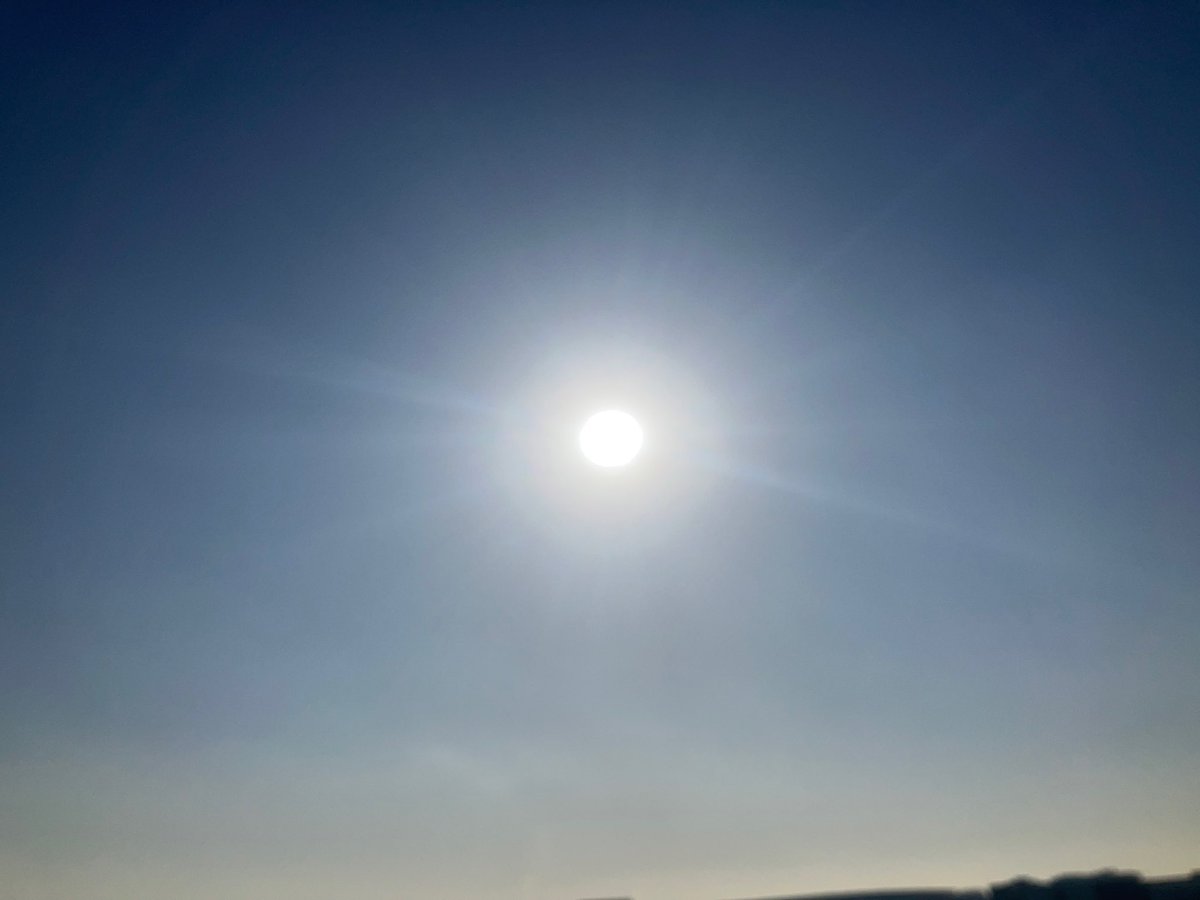 カーネーションを　口に
拾う。
また　いつか　逢えるさ。