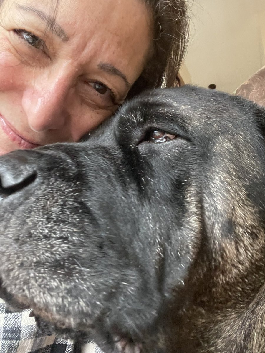 oldandbrokenff's tweet photo. Lovin’ on this girl today. I’ll have a tough decision to make soon. She’s been my bestie since rescuing each other 4 years ago. https://t.co/8azr1mddy9