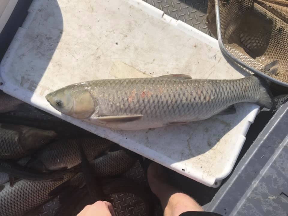 Paul DeRolf tweet media