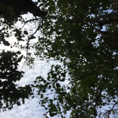 fathanj222's tweet photo. #NewProfilePic https://t.co/miL9RMd8T7