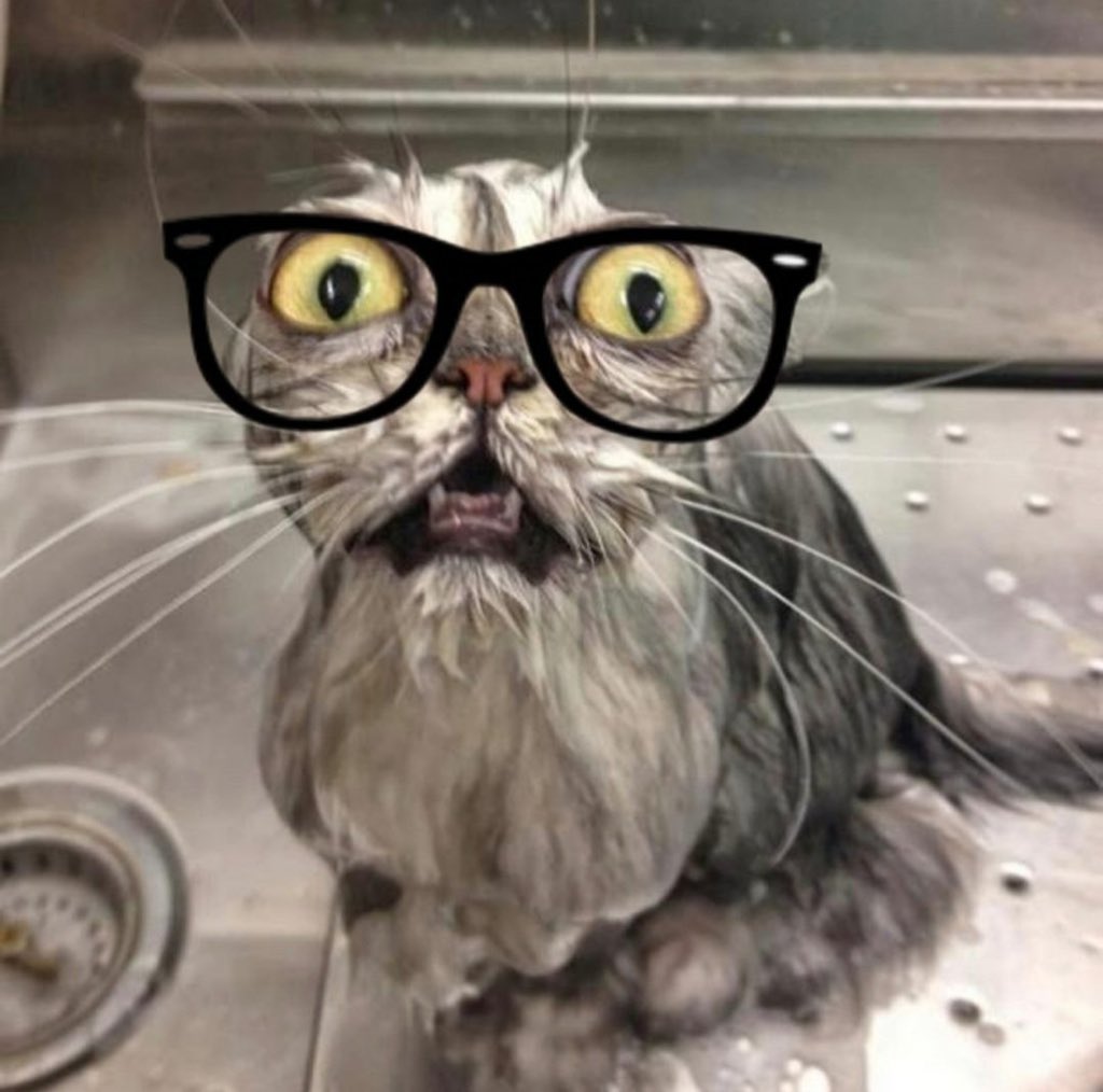 catturd2's tweet photo. Me waiting for Alex Jones to be reinstated on X. https://t.co/vEsRk08NAi