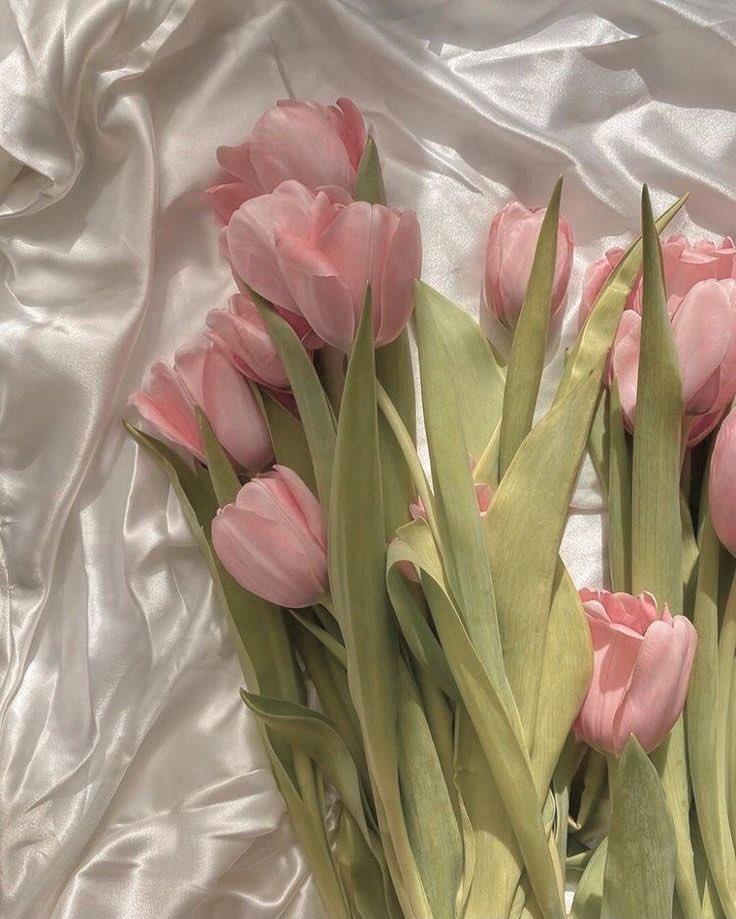 piinkibun's tweet photo. pink tulips <3 https://t.co/WM9chbbHFH