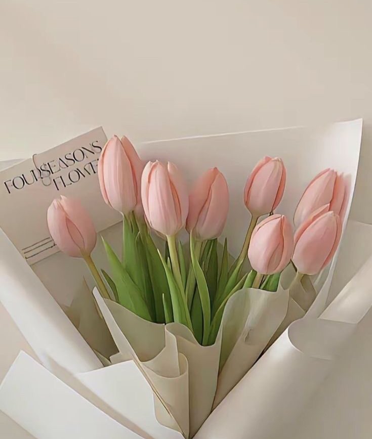 pink tulips <3