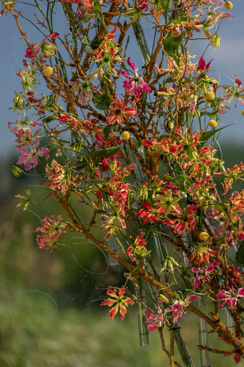 Marginpar's tweet photo. 🌸 Woohoo! The full floral trends for 2024 are now online! Get inspired and enjoy: 

👉 https://t.co/HPt5lkca0v 

#floraltrends #flowertrends https://t.co/FXhpbxBQ3F