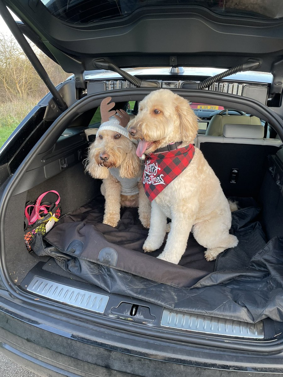 Mark Stanton tweet media