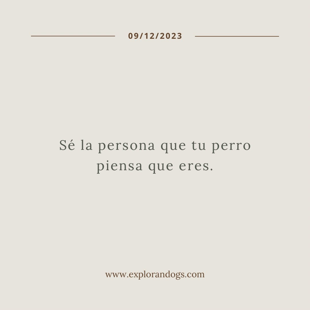 explorandogs's tweet photo. 💭 09 / 12: “Sé la persona que tu perro piensa que eres”.

🐾 Tu perro te quiere incondicionalmente y nunca te va a fallar. No seas menos que él. Tú tampoco le falles y llévatelo contigo en cada aventura.

#explorandogs #petfriendly #viajarconperro #perro
#viajar #turismo https://t.co/PCIplcU8MF