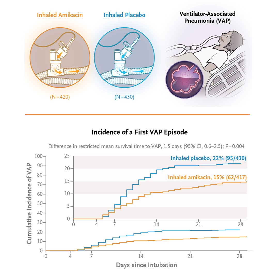 2. Original Article: Inhaled Amikacin to Prevent Ventilator-Associated Pneumonia nej.md/472lySJ #Pulmonology