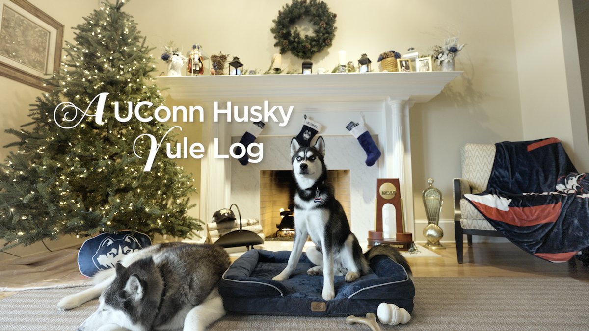 Our UConn yule log is still burning, and is the perfect companion to all of your holiday festivities 🪵 s.uconn.edu/holidayyulelog