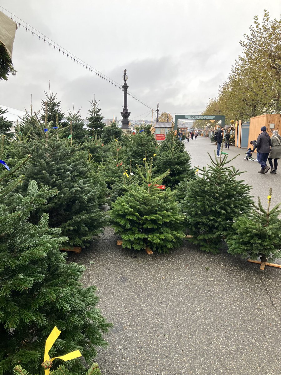 GmurHelen's tweet photo. #Tannenbäume #Weihnachten #NoelauQuai #Bus #Postauto #Extrafahrt #Schwimmen #LacLeman #Dezember #Genf #Schweiz #Samstag #Geneva #Switzerland #Saturdayvibes #Trees 🎄 https://t.co/eK1KdVpbEW
