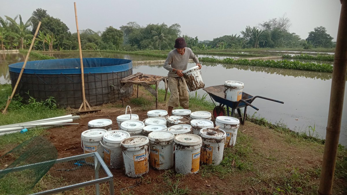 masalah mereka bukan di sistem ato cara budidaya...mereka itu bermasalah pada makin minimnya keuntungan budidaya karena harga pakan yang terus melonjak,tugas kita adl bagaiman meningkatkan keuntungan mereka
<a href="/bbpbat_sukabumi/">BBPBAT SUKABUMİ</a> <a href="/djpt_kkp/">Direktorat Jenderal Perikanan Tangkap</a> @puslatluhkp <a href="/saktitrenggono/">Sakti Wahyu Trenggono</a>