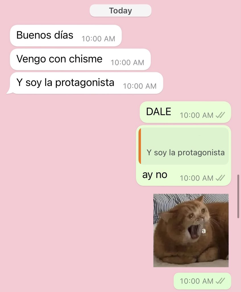 DaniBarranco13's tweet photo. buenos días ✨ https://t.co/0XbSFeQ7UY
