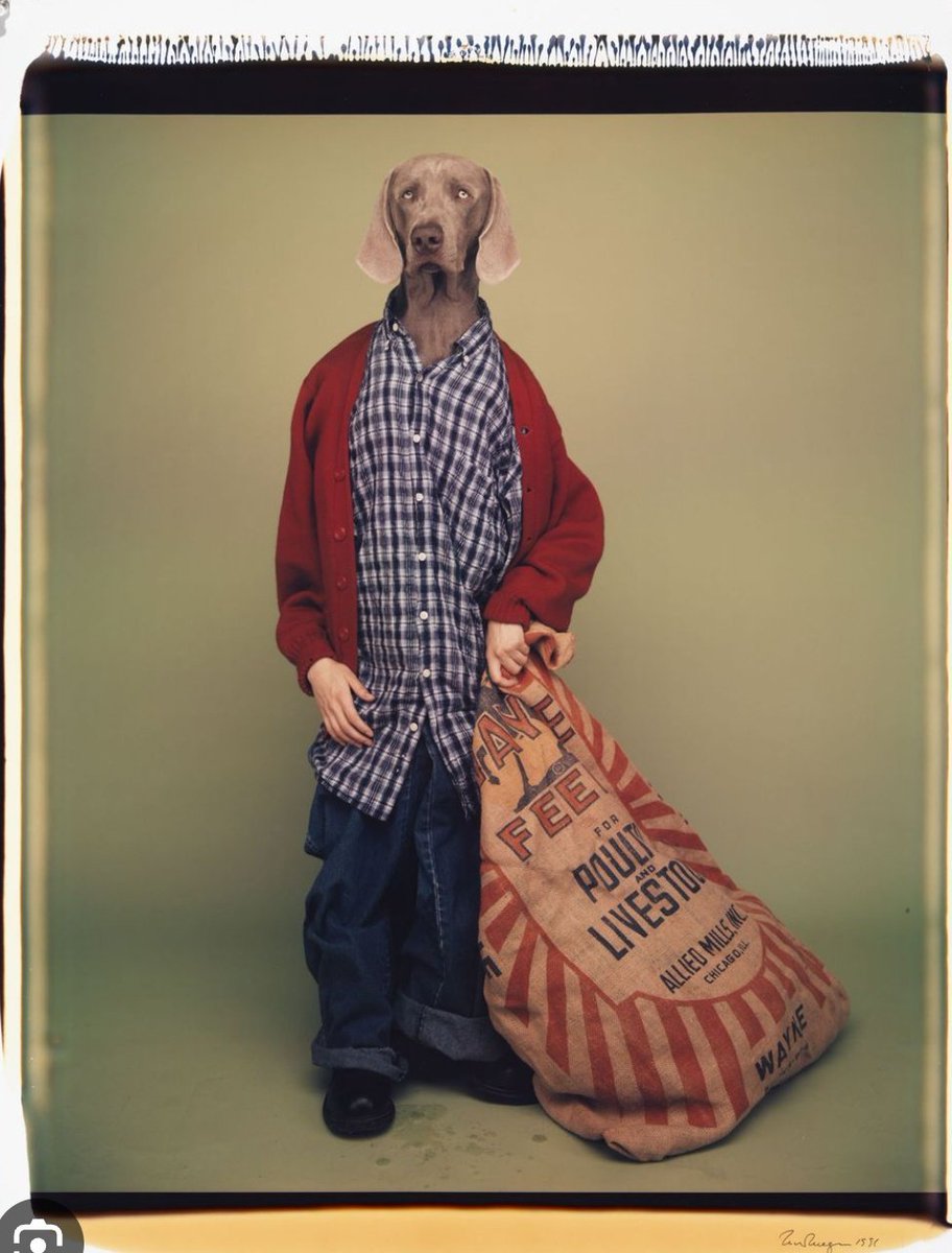 cioncetti's tweet image. #wegman... teaches