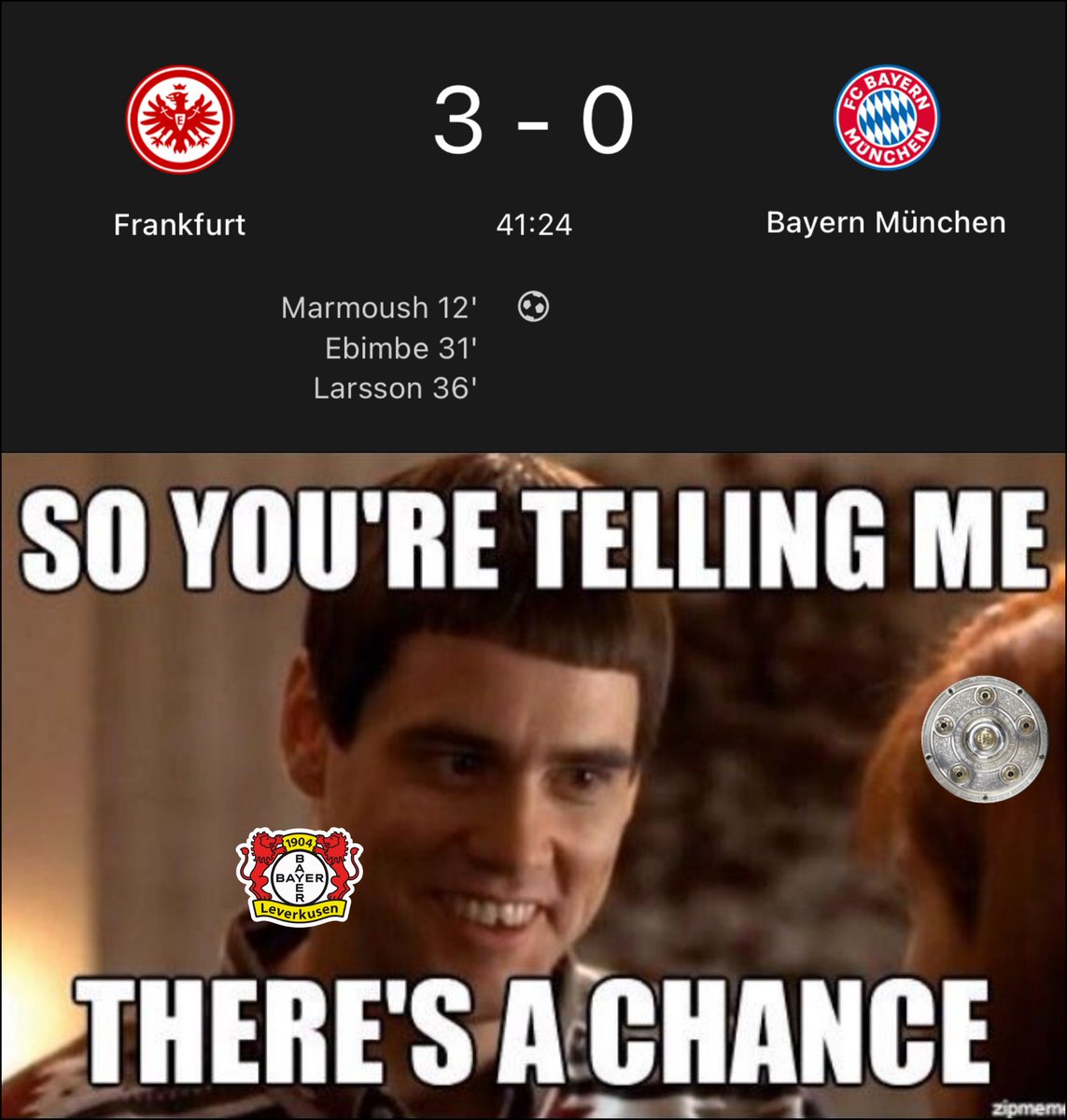 Bayer Leverkusen fans right now