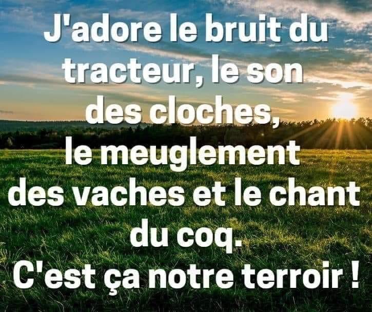 alainpaulweber's tweet photo. Soutien Total �� Vincent Verschuere et sa Famille 
J'ai Honte pour la France 
Condamné pour travailler, produire du lait....
Notre problème produire du lait sans bruits, sans odeurs... 🙄🙄. Que les citadins restent à la ville ! https://t.co/HHgVHVo1CG
