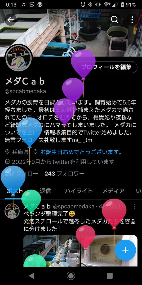 spcabmedaka's tweet photo. ひとつ歳をとりました！
ありがとうございます😆 https://t.co/gxtBZ3sSPm