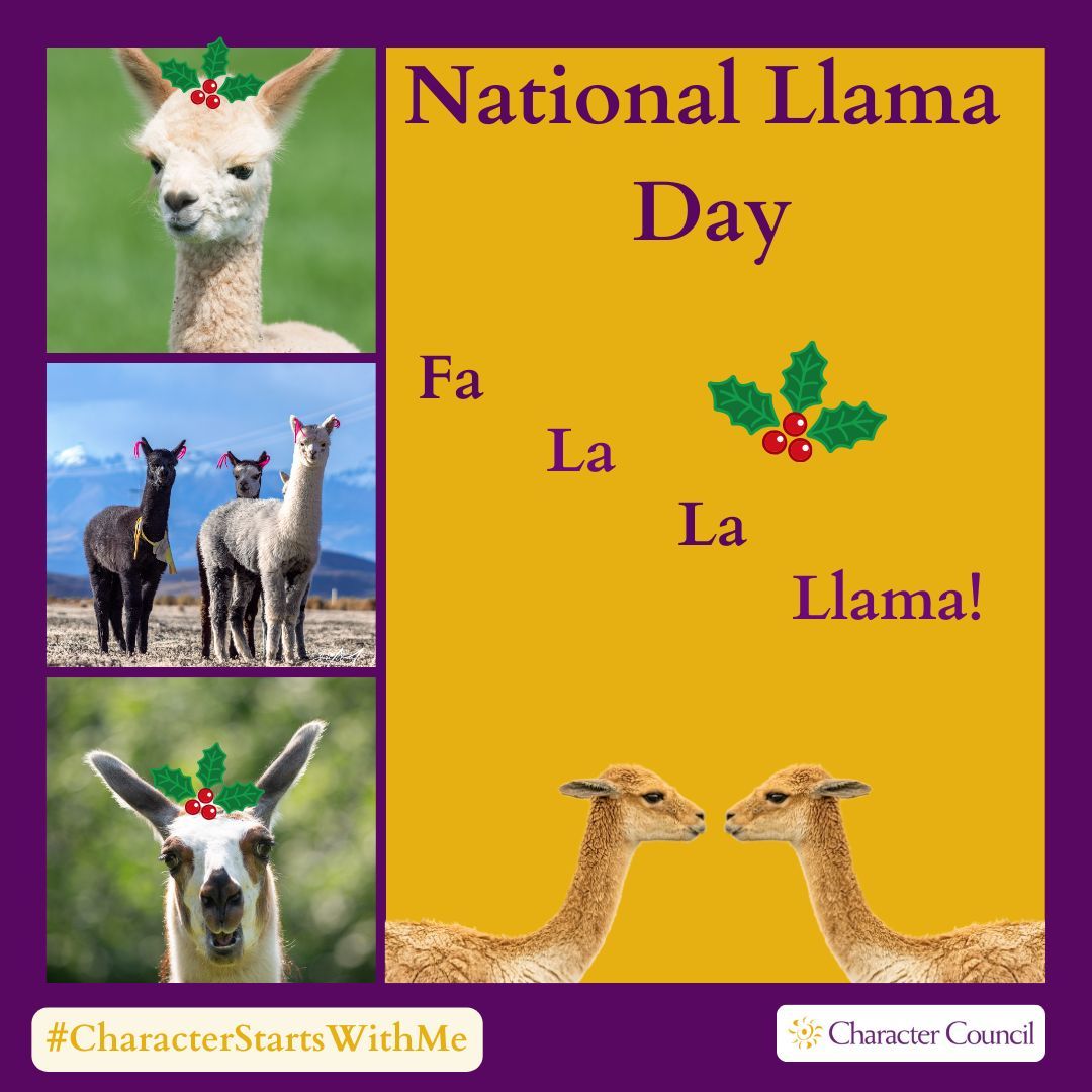 CharacterCincy's tweet image. It&apos;s #NationalLlamaDay!  #LlamaWool is very soft, and llamas love to cuddle with their humans.  Be like a #Llama today!  #Compassion  #Positivity  #CharacterStartsWithMe