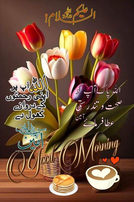 Aslam o alekum 
Good morning 
Allah sab ki zindgi main aasanian peda kray ameen
#AbrarAhmed 
#SherAfzalMarwat