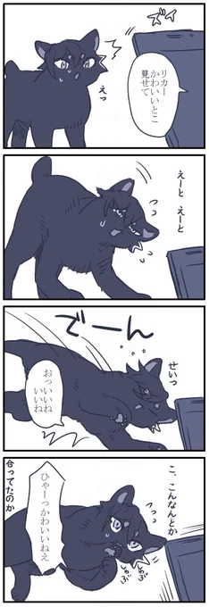 期待に応えてくれるネコチャン漫画 