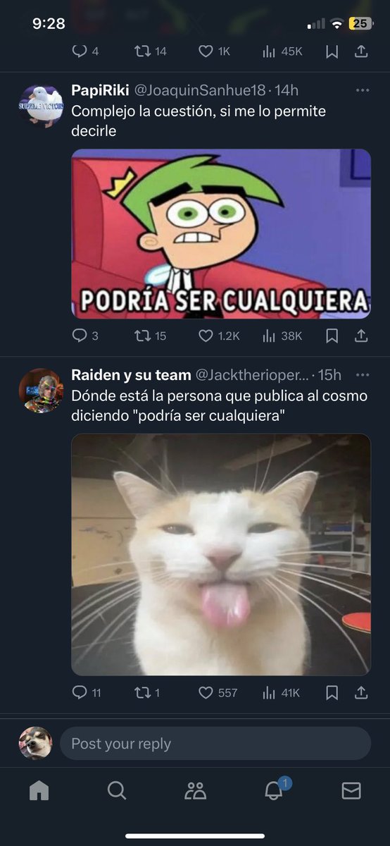 Víctor Ramón tweet media