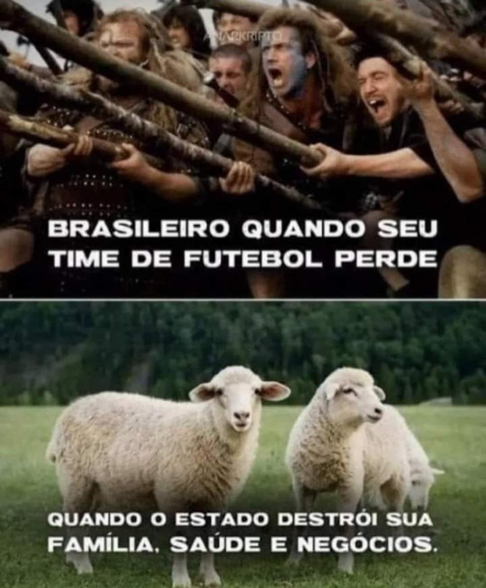 Roger Rocha Moreira (@roxmo) on Twitter photo 