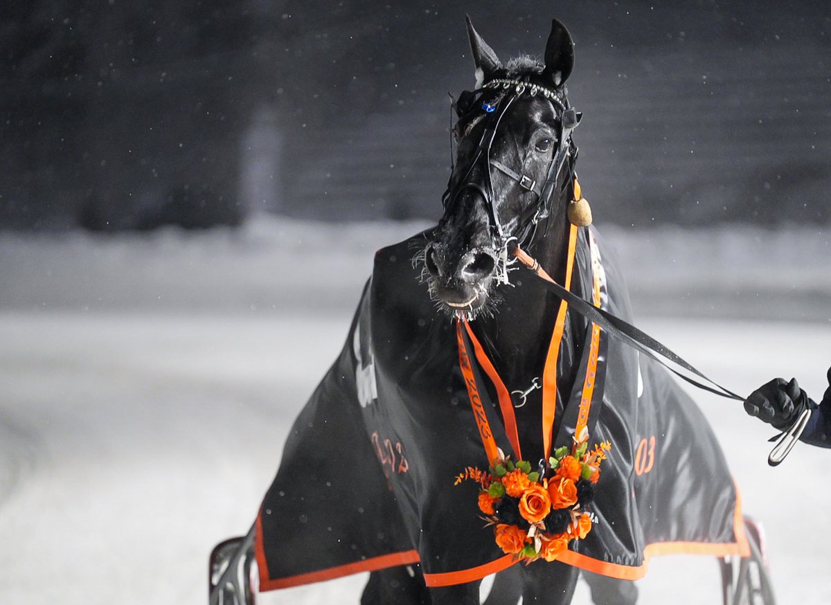 Viikon Kavioliiga-ravit kilpailtiin tänään Teivossa 🏆❄️

🥇 Uptown Kemp
🥇 Luonnon Vauhti
🥇 Kukkarosuon Kurko
🥇 Amazing Player
🥇 EL Indeed
🥇 Tangen Ove
🥇 Show Must Go On

Kuvassa GLi Grand Prix'n voittaja Show Must Go On

📷: Garin Helenius