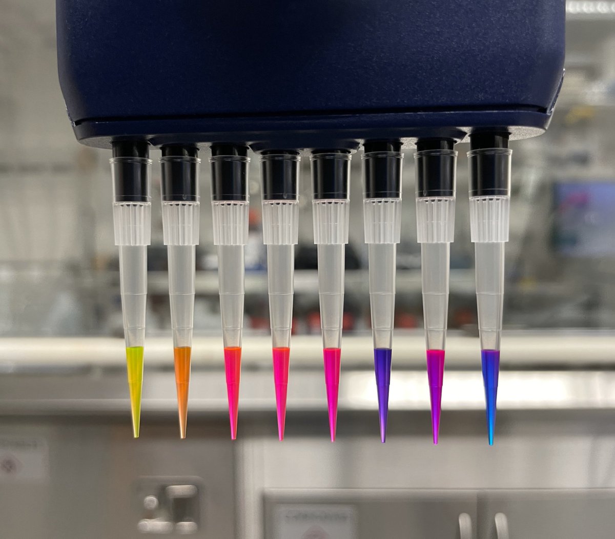 hhmi_science's tweet photo. 🌈 Luke Lavis (@rhodamine110) &amp; his team have become known for their vibrant fluorescent dyes, each one brighter than the next. Now, he, @jonathangrimm, &amp; collaborators have released a comprehensive collection of rhodamine-based dyes: https://t.co/XNP8m6WIQo https://t.co/d8rR5gMRFA