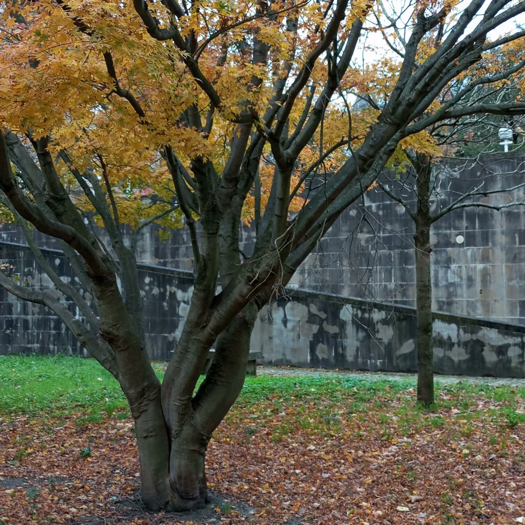 ZTouaria's tweet image. Winter is coming
#sansebastian
#basco