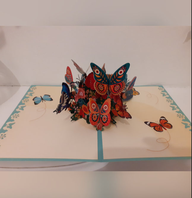 Elizabeth Hammond tweet media