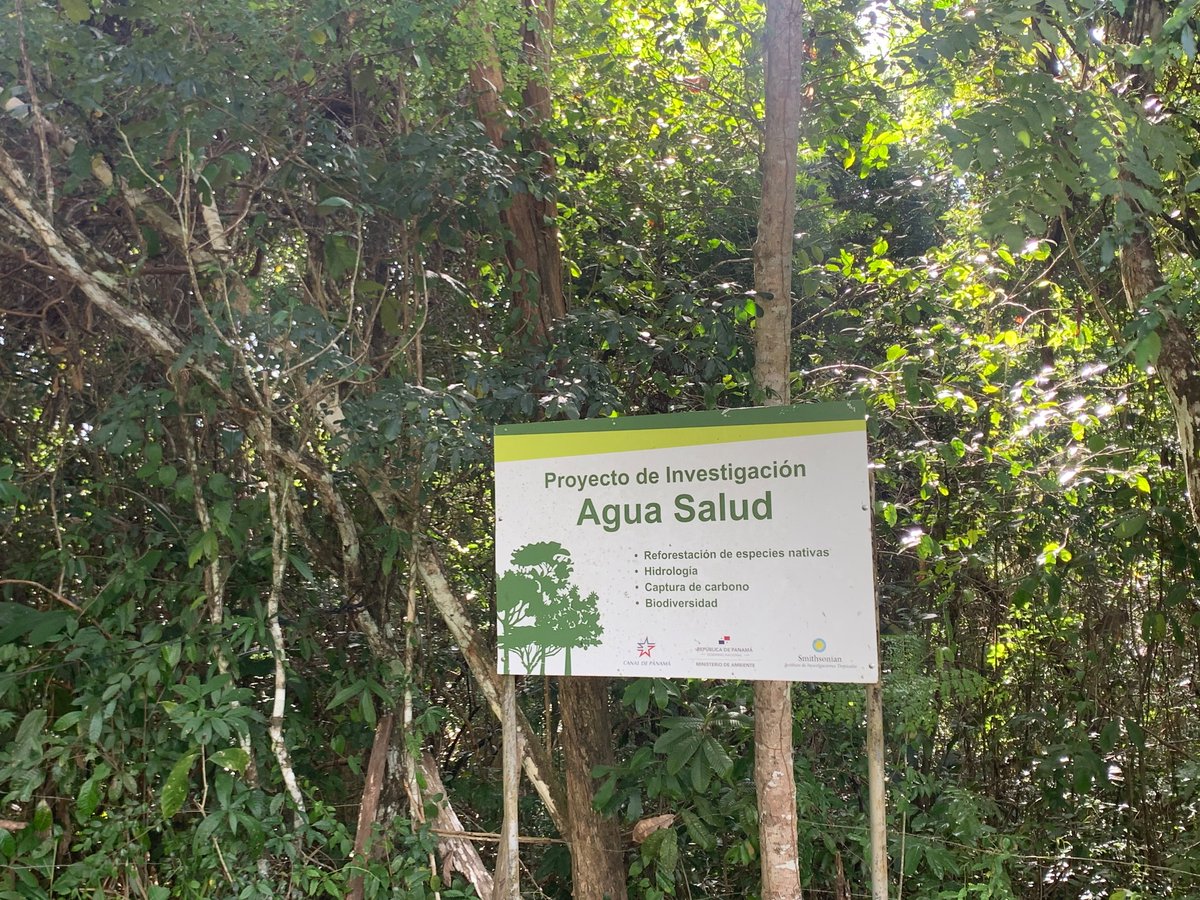 Mélisande Teng (@melisandeteng) on Twitter photo I’m headed to <a href="/NeurIPSConf/">NeurIPS Conference</a> after a week of field work with <a href="/etnlalib/">Etienne Laliberté</a> ’s group in Panama. Let me know if you want to meet to chat about remote sensing for biodiversity conservation and forestry! I’m headed to <a href="/NeurIPSConf/">NeurIPS Conference</a> after a week of field work with <a href="/etnlalib/">Etienne Laliberté</a> ’s group in Panama. Let me know if you want to meet to chat about remote sensing for biodiversity conservation and forestry!