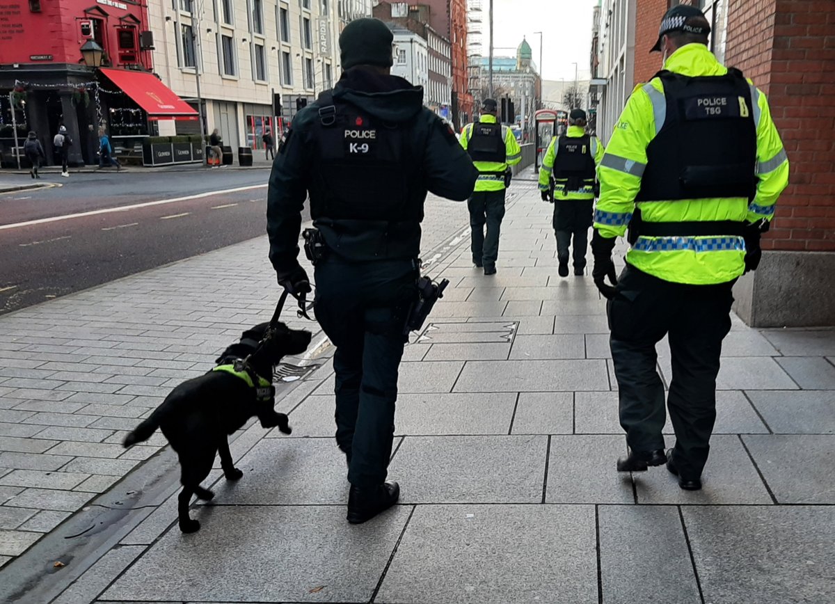 Police K9s, handlers & officers out in Belfast City Centre keeping everyone safe. 
Great job by all🐾👮💙

Please sign chng.it/bmgWSsz4DR ✍️to these extraordinary K9s recognised as law enforcement with separate sentencing.

Taken from FB @ facebook.com/PoliceBelfast

#PoliceK9