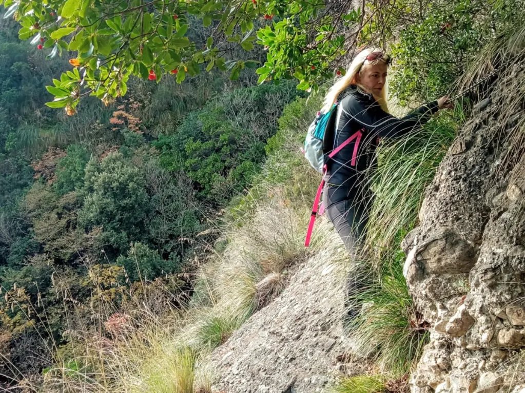 ParcoPortofino's tweet photo. #EscursioneGuidata  lungo la Via dei Tubi di oggi.
Un classico. 
Un classico successo. #lamialiguria #parcoportofino #beactiveliguria https://t.co/PcxQdmaJQY