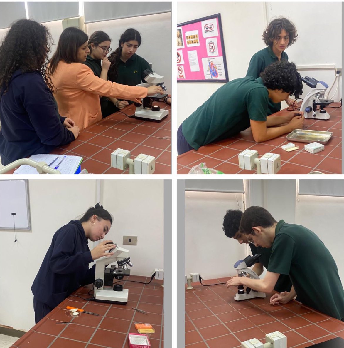 RHHS_BioDept's tweet photo. "Exploring the Microcosm: Journey of grade 11 students into Cells Realms. Witness the intricate dance of life as we observe Paramecium and delve into precise microscopic measurements in our laboratory exploration."@RHHS_Saida https://t.co/ZU13THI0tH