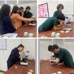 Photo by RHHS_BiologyDept (@RHHS_BioDept)