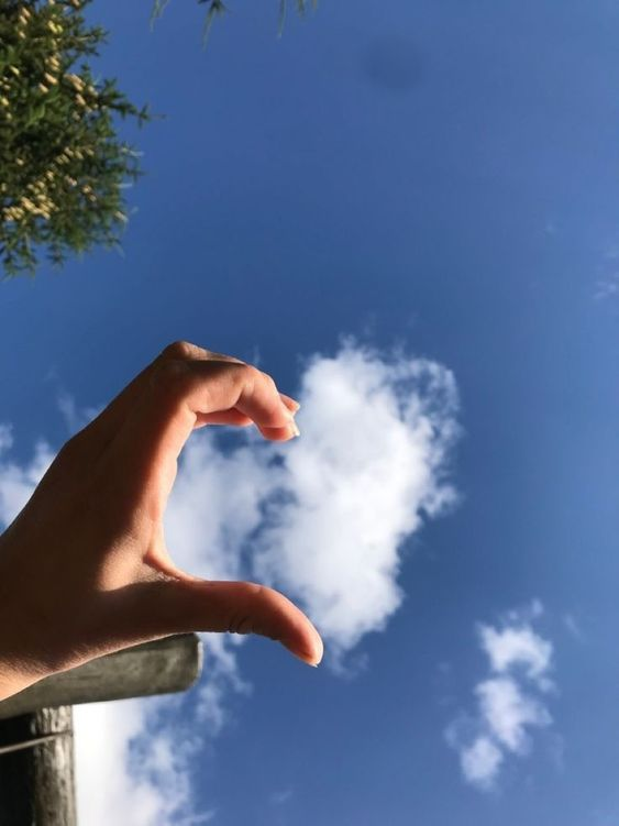 Angela899395693's tweet photo. Love is a part of life, it gives you the power to create the best life. It can combine good and bad. https://t.co/eVfUAyconG