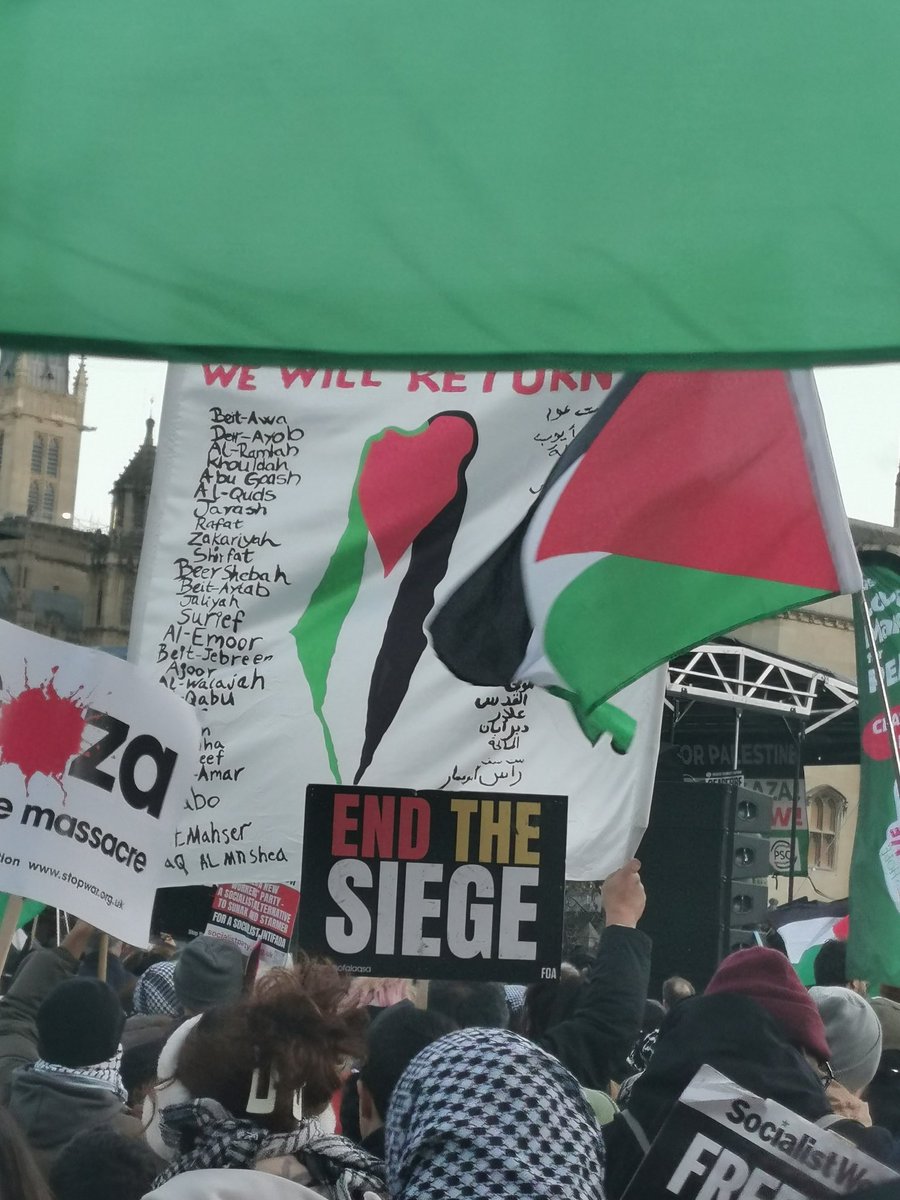 CocoFoufa3's tweet image. 