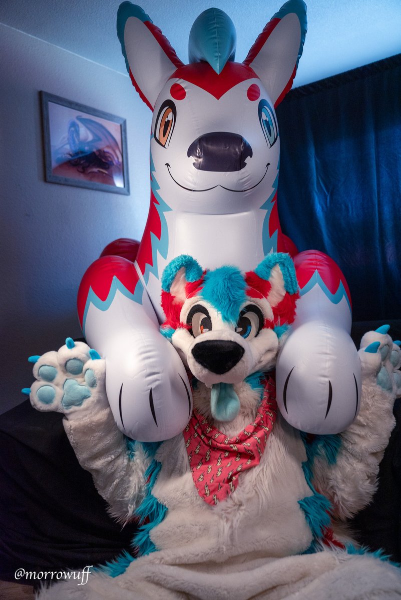 avalon_cruz's tweet photo. Help help Iβve been pounced byβ¦myself! π·: @morrowuff π: @PhenodToy #SqueakySaturday #Squeakend #Inflatable https://t.co/nUgitdhW95